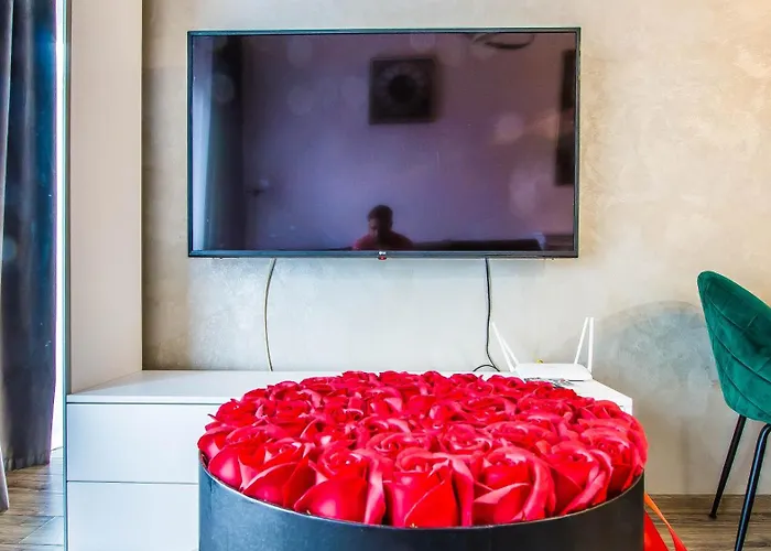 & Mihai Bravu Apartment Bucharest