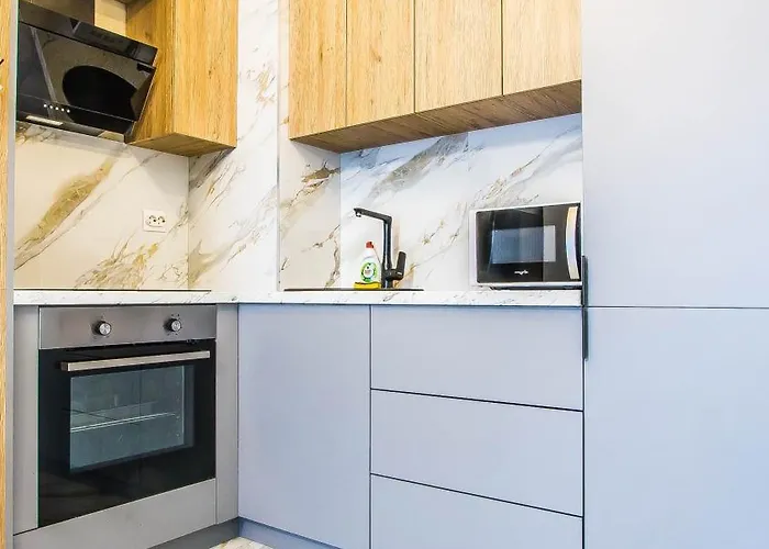 Apartman & Mihai Bravu *